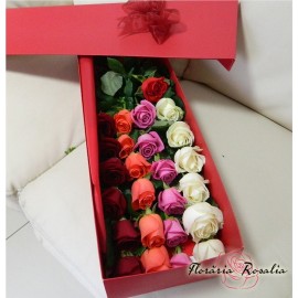 25 trandafiri multicolori in cutie