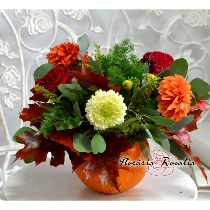 Aranjament de toamna in bostanei