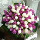 Buchet 85 lalele albe si mov