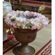 Cristelnita cu flori roz pe suport de burete