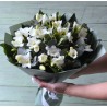 Buchet 15 frezii albe