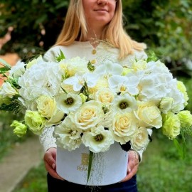 Cutie alba cu hortensii