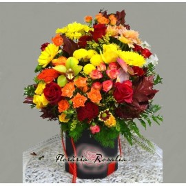 Cutie de toamna cu orhidee