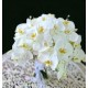 Buchet cu trandafiri si orhidee phalaenopsis