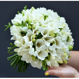 Buchet frezii multicolore