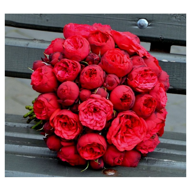 Buchet cu miniroze Piano Red