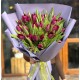 Buchet 25 lalele mov