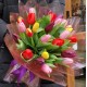 Buchet 25 lalele multicolore