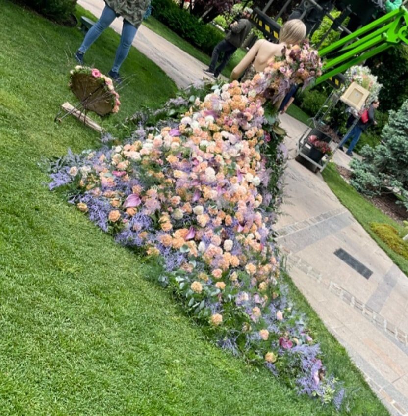 Cenusareasa - Florall 2023
