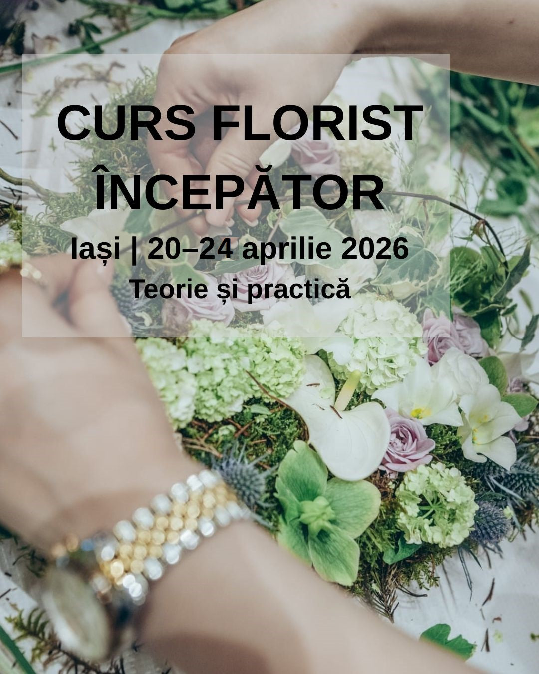 Curs Florist Începător Iași