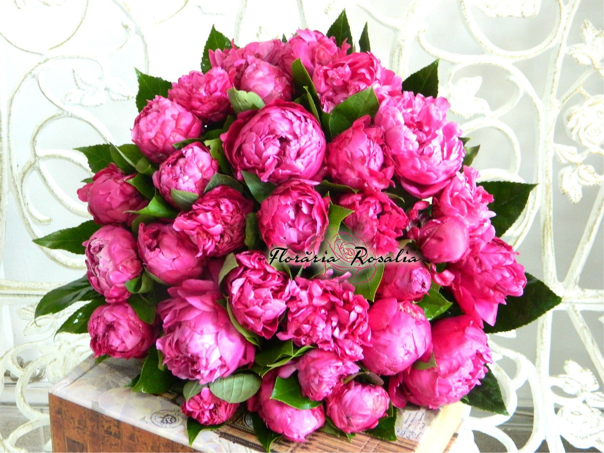 Buchet 29 bujori
