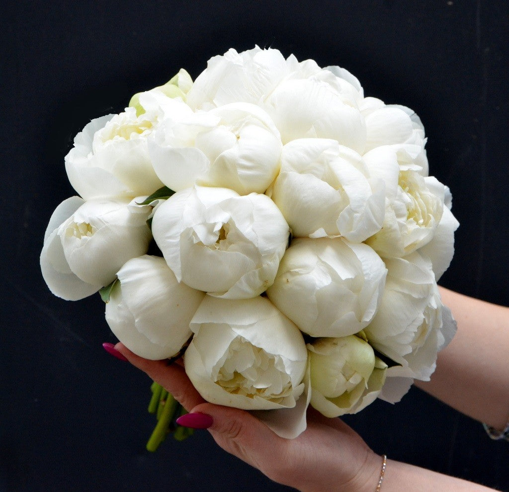 Buchet nasa cu bujori albi