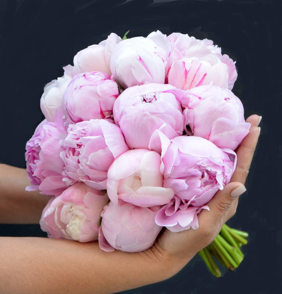 Buchet 19 trandafiri roz