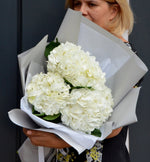 Buchet 3 hortensii albe
