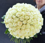 Buchet 101 trandafiri albi