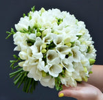 Buchet frezii multicolore