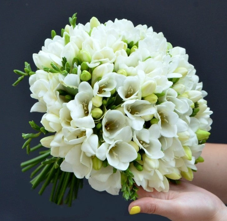 Buchet frezii multicolore