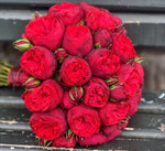 Buchet cu miniroze Piano Red