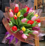 Buchet 25 lalele multicolore