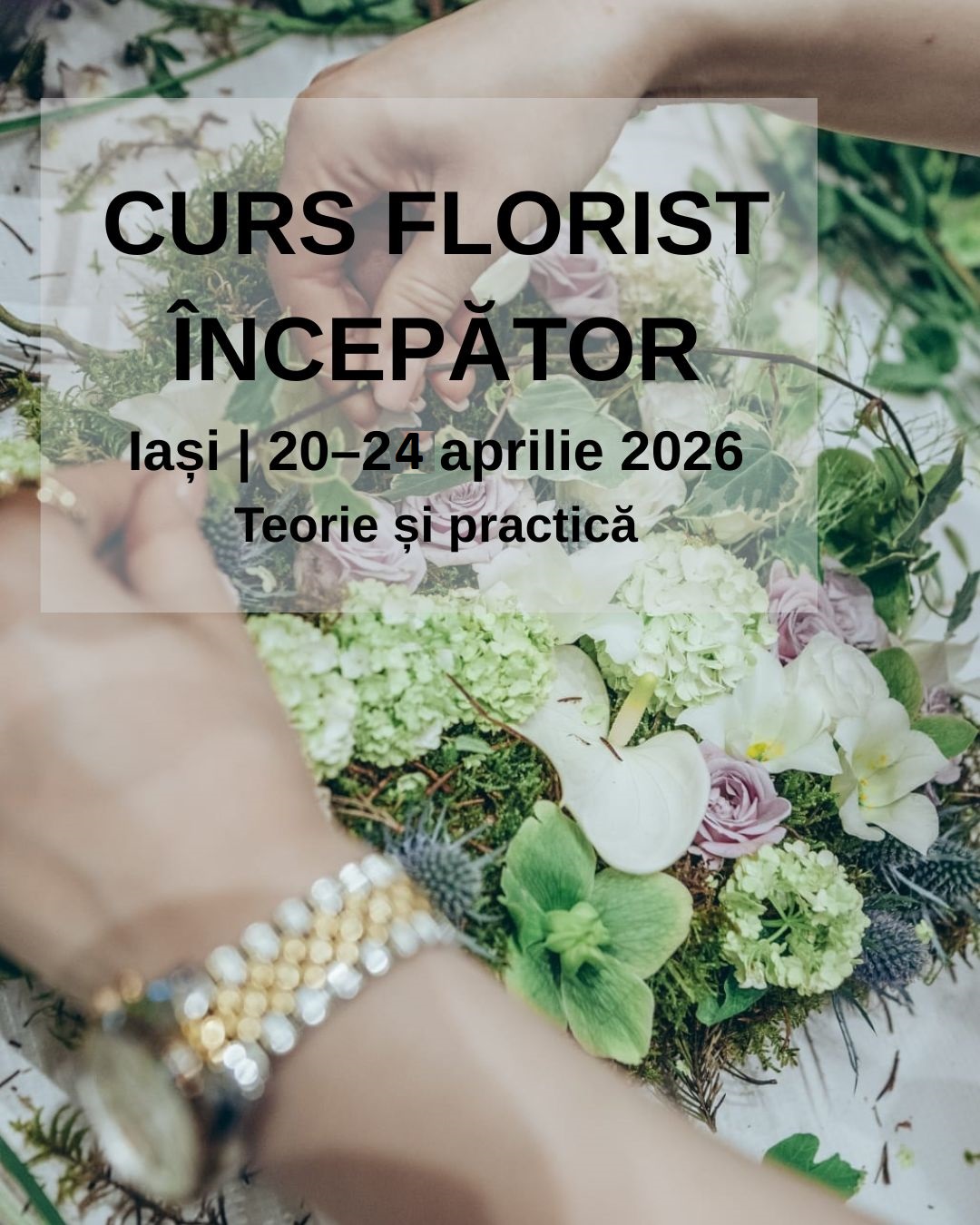 Curs Florist Începător Iași 